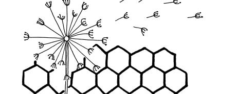 Pusteblume vor Zaun